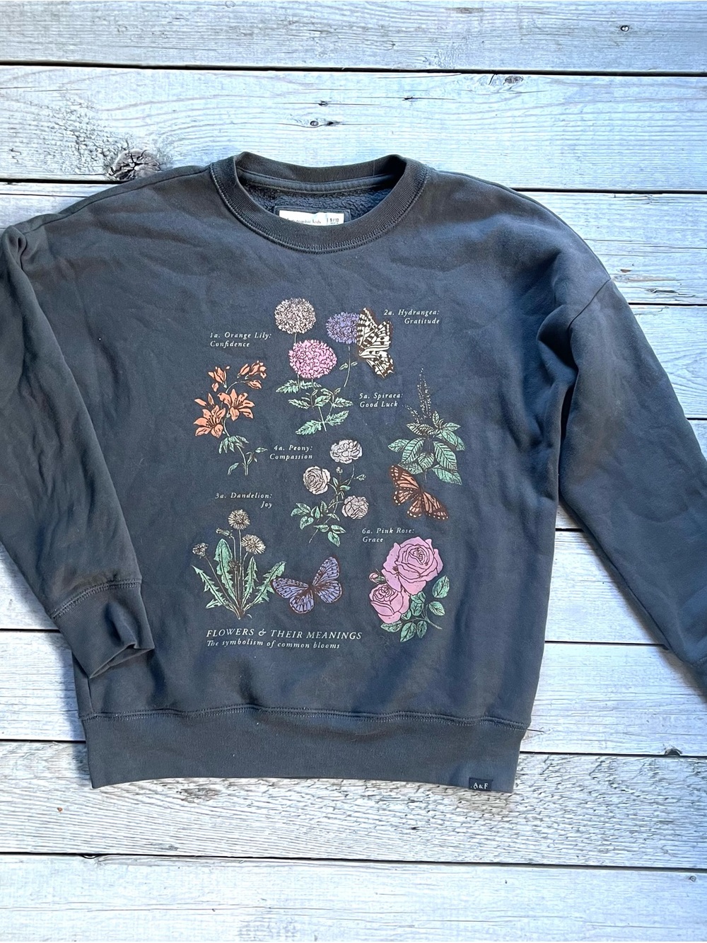 Abercrombie Kids Grey Sweatshirt with Multicolor Botanical & Butterfly Graphic